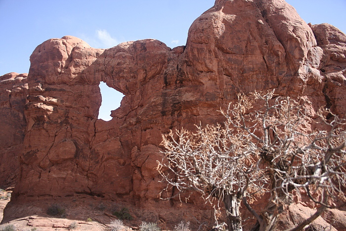 Arches Park - Serpentine Arch