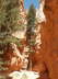 Bryce Canyon - Navajo Loop