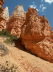 Bryce Canyon - Navajo Loop