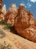 Bryce Canyon - Navajo Loop