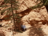 Bryce Canyon - Navajo Loop