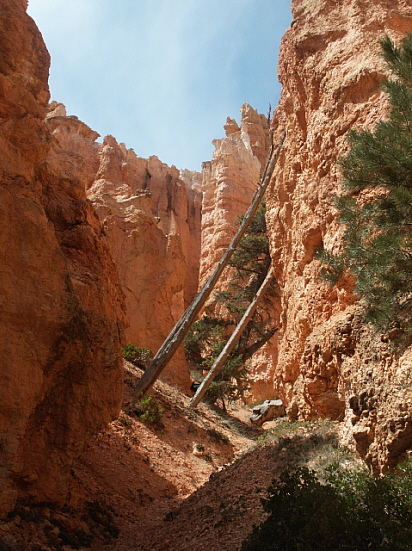 Bryce Canyon - Navajo Loop