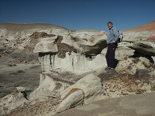 Bisti Wilderness Area