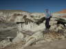 Bisti Wilderness Area