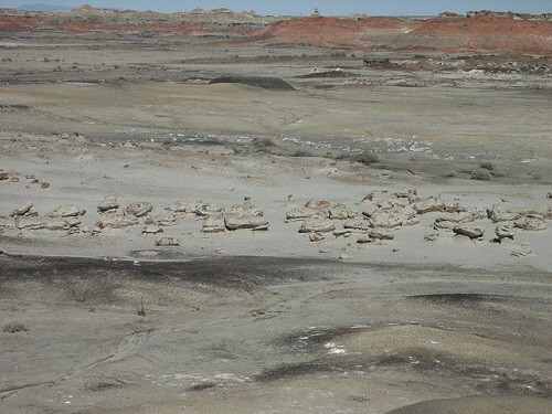 Bisti Wilderness Area