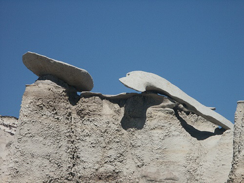 Bisti Wilderness Area