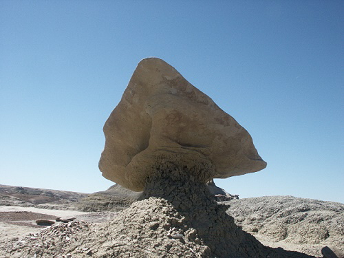 Bisti Wilderness Area