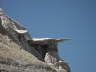 Bisti Wilderness Area