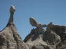 Bisti Wilderness Area