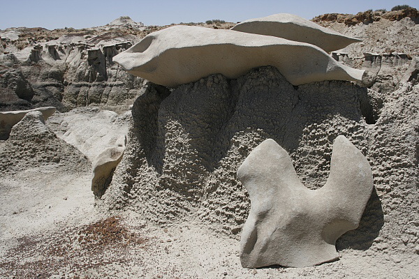 Bisti Wilderness Area North Unit