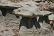 Bisti Wilderness Area North Unit