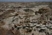 Bisti Wilderness Area North Unit