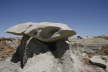 Bisti Wilderness Area North Unit