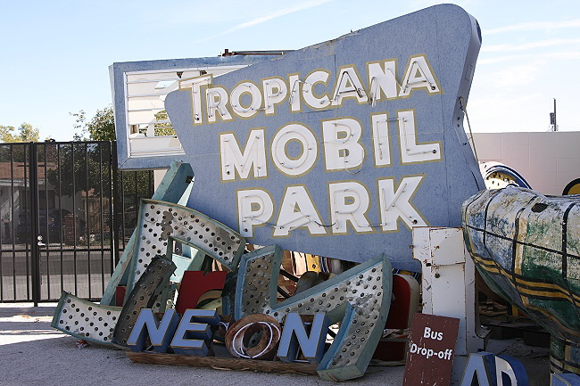 Neon Boneyard