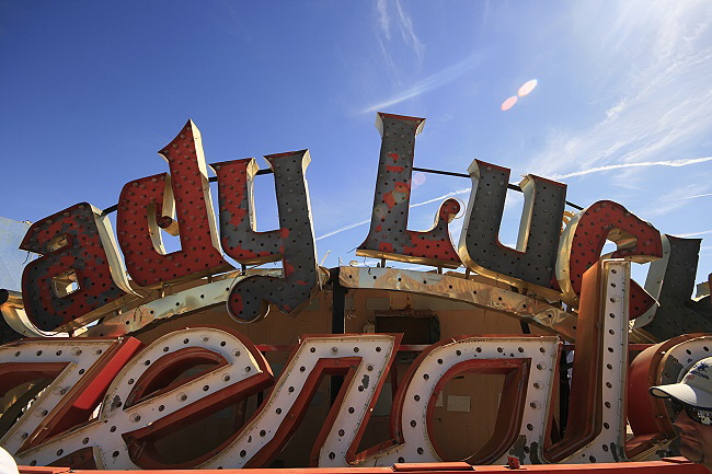 Neon Boneyard