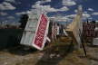 Neon Boneyard
