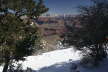 Grand Canyon - Bright Angel Point