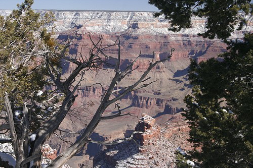 Grand Canyon - Bright Angel Point
