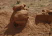 Goblin Valley