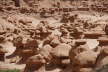 Goblin Valley