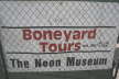 Neon Boneyard