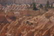 Bryce Canyon - Queens Garden Trail