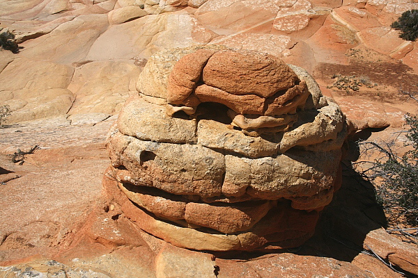 South Coyote Buttes