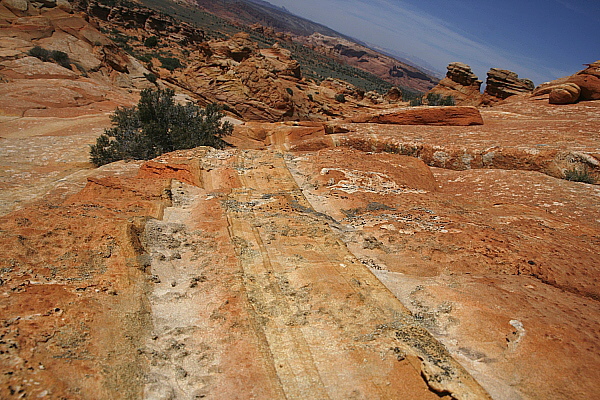 South Coyote Buttes