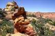 South Coyote Buttes