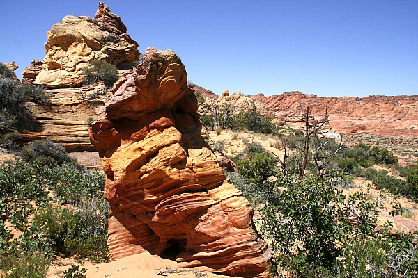 South Coyote Buttes