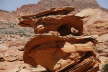 South Coyote Buttes