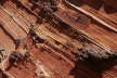 South Coyote Buttes