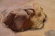 South Coyote Buttes