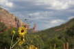Sedona
