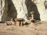 Toadstool Valley