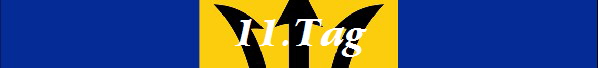 11.Tag