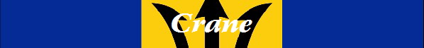 Crane