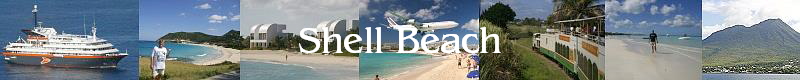 Shell Beach