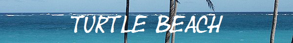 Turtle Beach