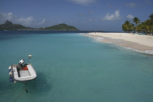 Palm Island Palm Island
