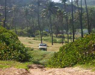 Morgan Lewis Beach