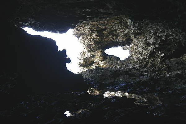 Animal Flower Cave