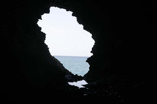 Animal Flower Cave