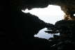 Animal Flower Cave