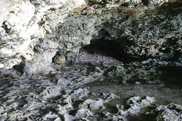 Animal Flower Cave