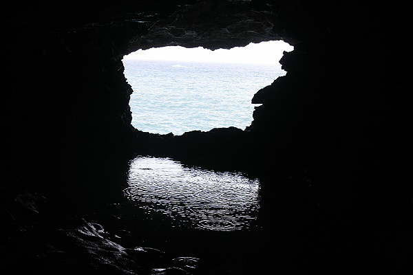 Animal Flower Cave