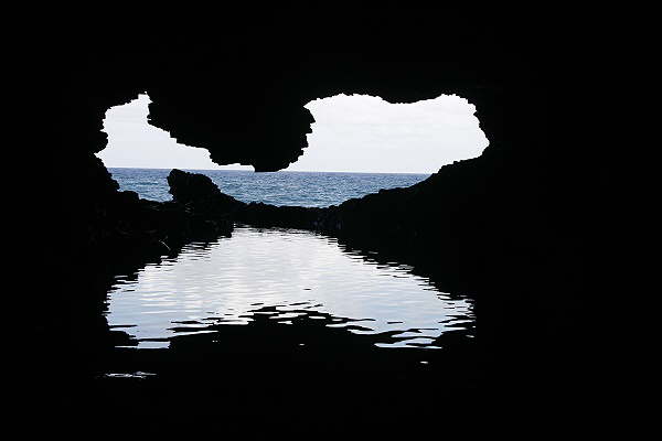 Animal Flower Cave