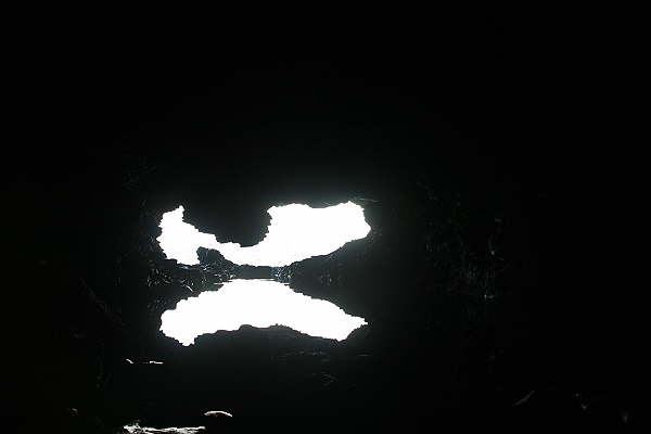 Animal Flower Cave