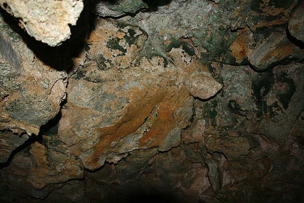 Animal Flower Cave