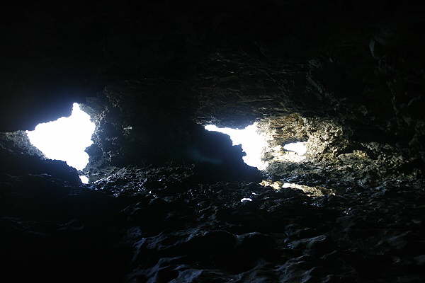 Animal Flower Cave